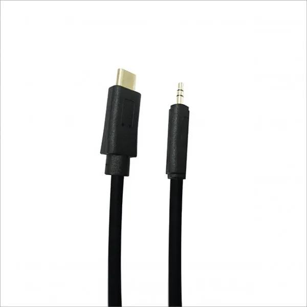 Type C to 3.5 Stereo/M Cable