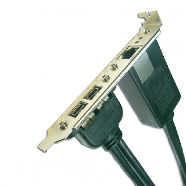 RJ45F+IEEE 1394b x 2 Cable